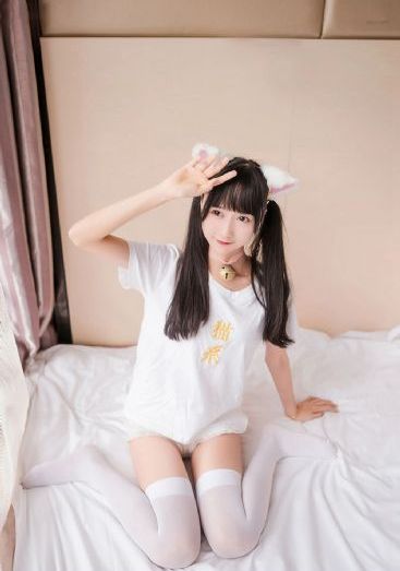 大清盐商