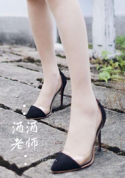 动物神探队